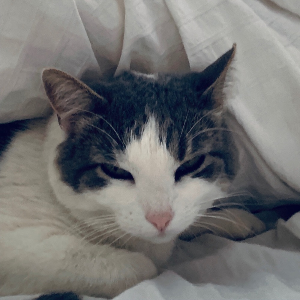 Meet your Posher, Rita